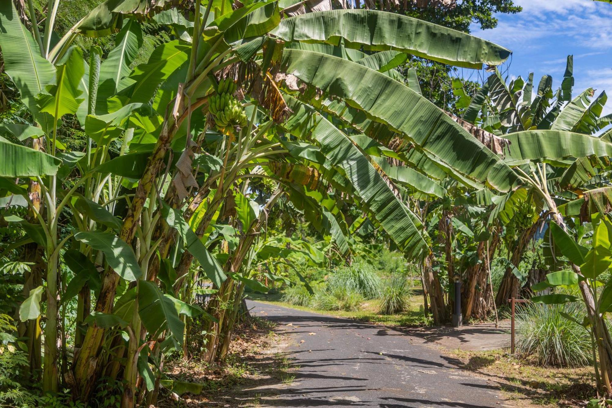 Iririki Island Resort & Spa Port Vila Buitenkant foto